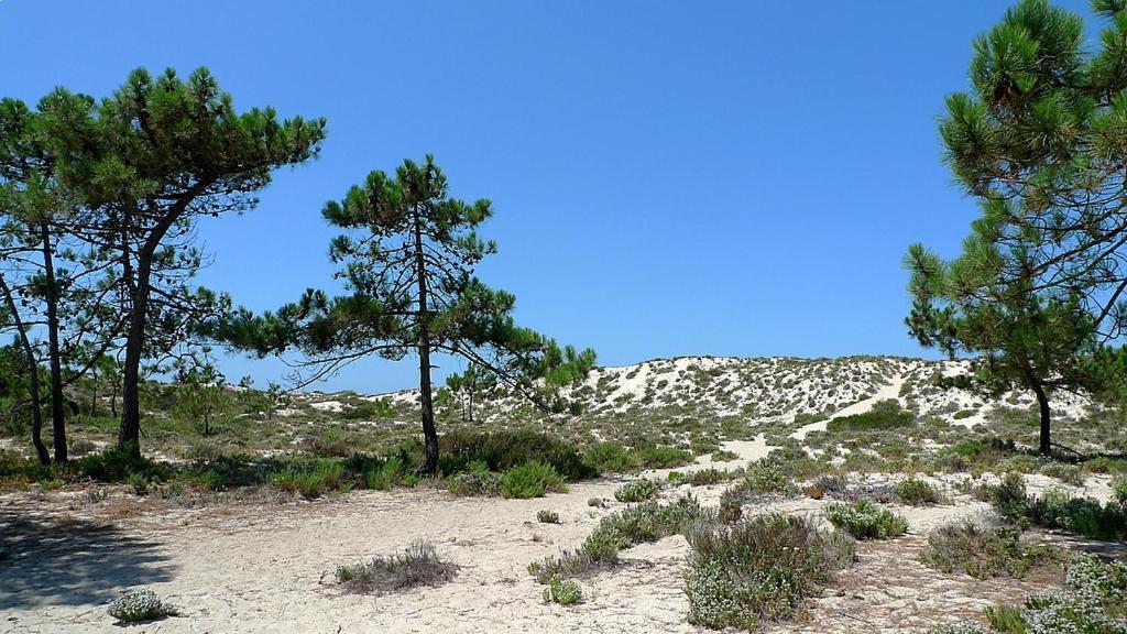 Comporta Beach House Екстер'єр фото